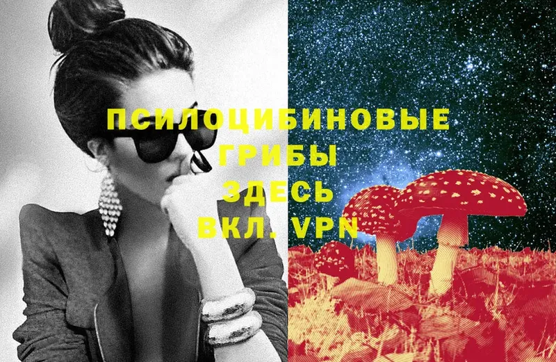 Галлюциногенные грибы Psilocybe  Болхов 